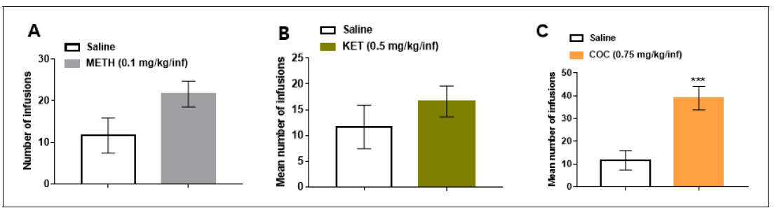 ICR 생쥐에서 methamphetamine(A), ketamine(B), cocaine(C)에 대한 자가투여시험