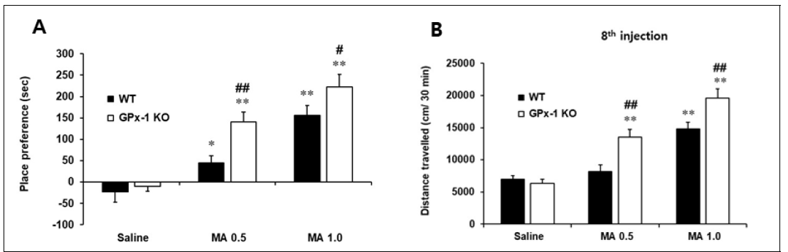 GPX-1 KO 동물에서 methamphetamine에 대한 조건장소선호도(A), 행동민감화(B)