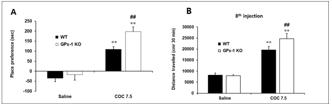 GPX-1 KO동물에서 cocaine에 대한 조건장소선호도(A), 행동민감화(B)