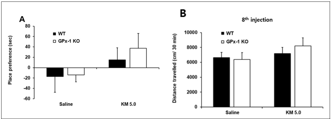GPX-1 KO동물에서 ketamine에 대한 조건장소선호도(A), 행동민감화(B)