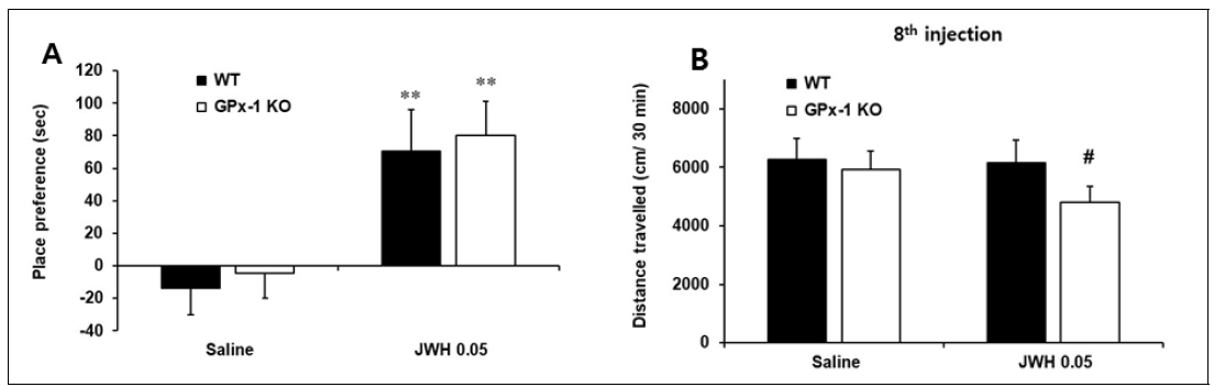 GPX-1 KO동물에서 JWH-018에 대한 조건장소선호도(A), 행동민감화(B)