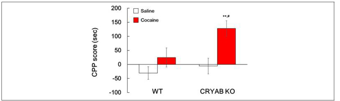 Cryab KO 동물에서 코카인에 대한 조건장소선호도