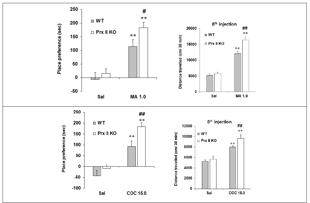 PrixII KO동물에서 메트암페타민과 코카인에 대한 조건장소선호도(A), 행동민감화(B)