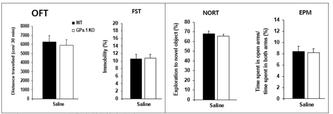 GPX-1 KO 동물의 행동학적 특성