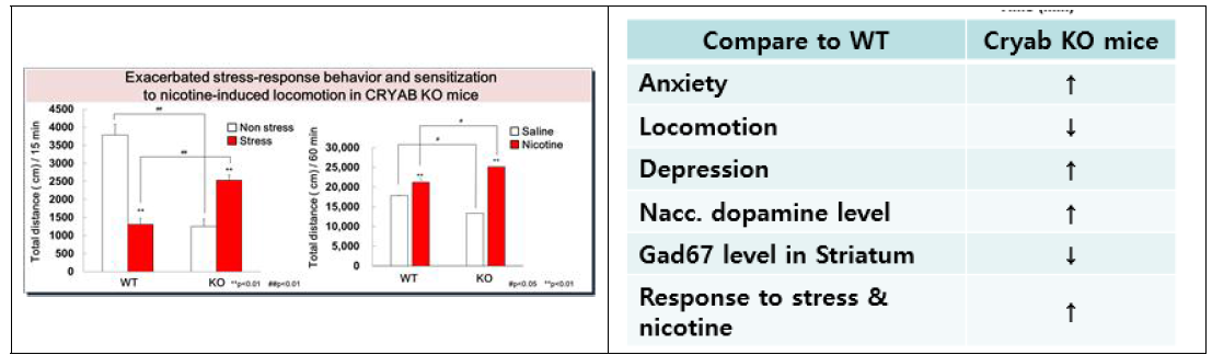 Cryab KO 동물의 신경학적 특성