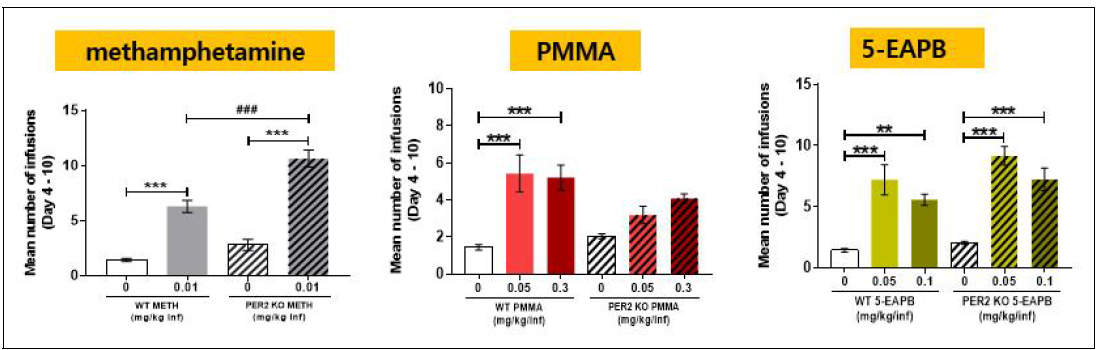 Per2 KO 동물에서 암페타민류에 대한 자가투여반응시험