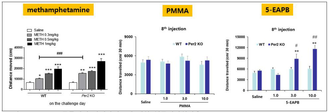 Per2 KO 동물에서 암페타민류에 대한 행동민감화반응