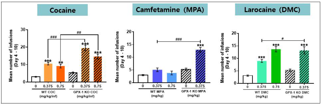 GPX-1 KO 동물에서 코카인류에 대한 자가투여반응시험