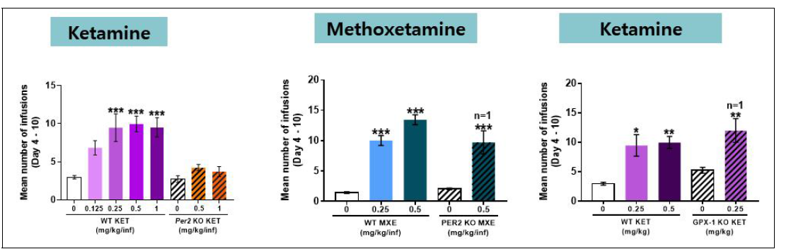 Per2 KO 동물에서 펜사이클리딘류에 대한 자가투여반응시험 및 GPX-1 KO 동물에서의 케타민 시험