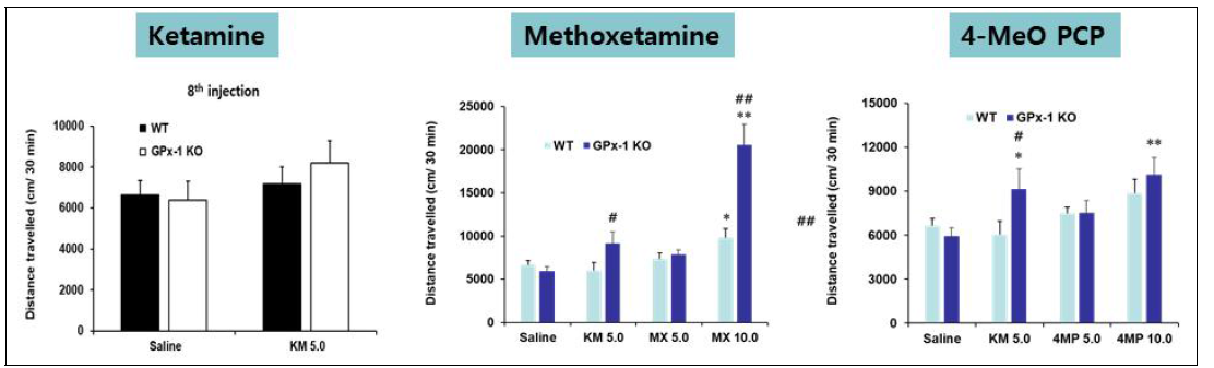 GPX-1 KO 동물에서 펜사이클리딘류에 대한 행동민감화시험