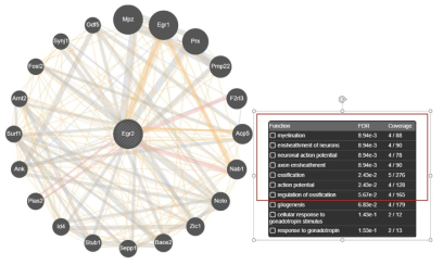 Genemania 네트워크가 Egr2가 다른 유전자들과 신경세포 생성과 활동성에 관여함을 보여줌