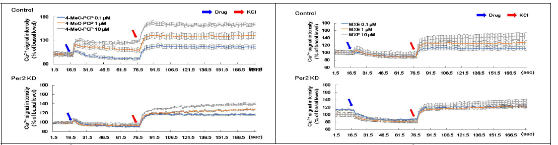 Ca2+ signal intensity by 4-MeO-PCP in PC12 cells. The Ca2+ signal intensity was performed as methods section by using 4-MeO-PCP(0.1, 1, 10 μM) or methoxetamine(0.1, 1, 10 μM) in PC12 and Per2 KD PC12 cells. Data are expressed as the mean ± S.E. (n = 6 for each group) Per2: Period circadian protein 2; KD: knock down