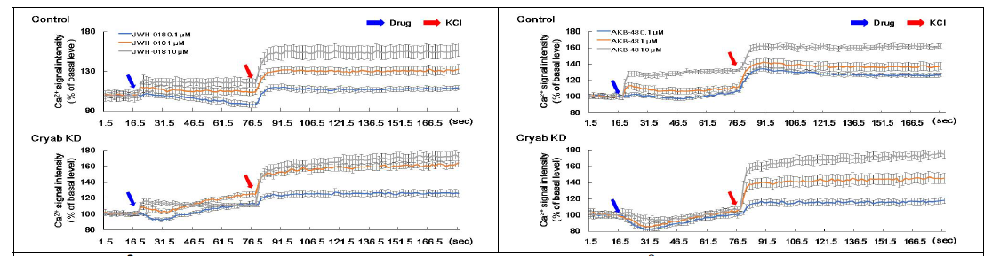 Ca2+ signal intensity by JWH-018 in PC12 cells. The Ca2+ signal intensity was performed as methods section by using JWH-018(0.1, 1, 10 μM) or AKB-48(0.1, 1, 10 μM) in PC12 and Cryab KD PC12 cells. Data are expressed as the mean ± S.E. (n = 6 for each group) Cryab: alpha-crystallin B; KD: knock down