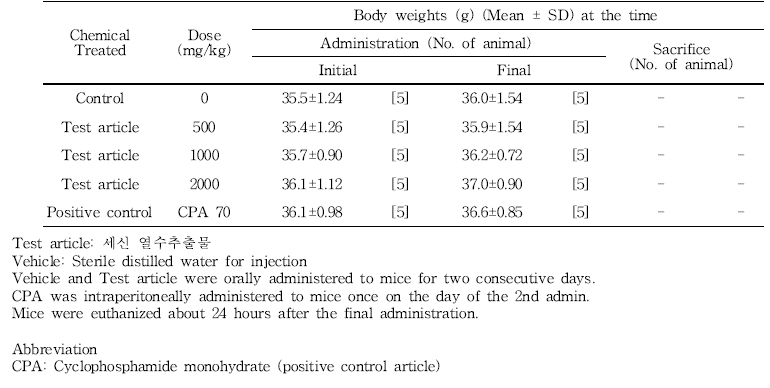 Body weights for male mice in vivo micronucleus test of 세신 열수추출물