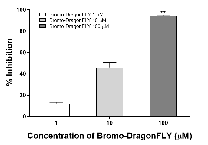 Bromo-DragonFLY 농도에 따른 통계학적 유의성