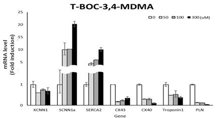 t-BOC-3,4-MDMA에 의한 H9c2 cell sample의 gene expression 변화