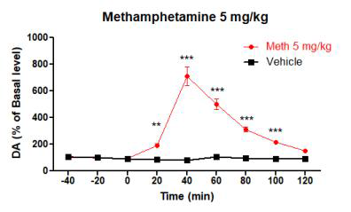 양성대조군 Methamphetamine (5 mg/kg)의 시간별 도파민 농도 (***P<0.001, **P<0.01, compared with the vehicle (two-way ANOVA, followed by the Bonferroni's post-hoc test))