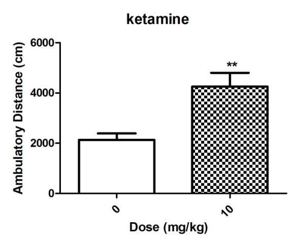 Deschloroketamine 실험의 양성대조군인 Ketamine군의 이동거리