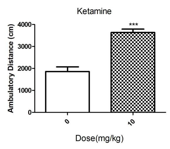 Diphenidine 실험의 양성대조군인 Ketamine군의 이동거리