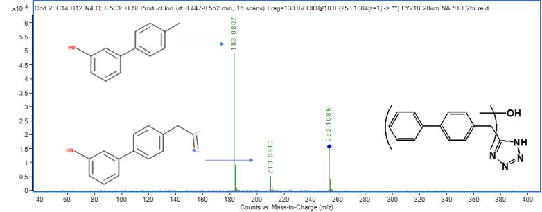 LY-2183240 M2의 MS2 스펙트럼 및 구조 규명(CE: 10 eV)