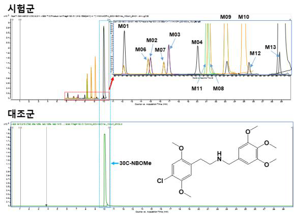 30C-NBOMe 100 μM, 2시간 배양한 시험군과 대조군의 extracted ion chromatogram