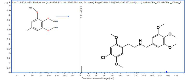 30C-NBOMe의 MS2 스펙트럼(CE: 20 eV)