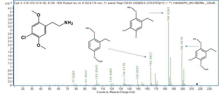 30C-NBOMe M1 (2C-C)의 MS2 스펙트럼 및 구조 규명(CE: 20 eV)