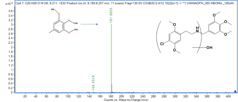 30C-NBOMe M12의 MS2 스펙트럼 및 구조 규명(CE: 20 eV)