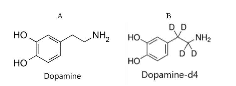 시냅토좀 도파민 시험 분석대상 화학구조 (A) 도파민, (B) 도파민-d4(내부표준물질)