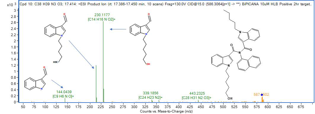 BiPICANA M3의 MS2 스펙트럼 및 구조 규명(CE: 15 eV)