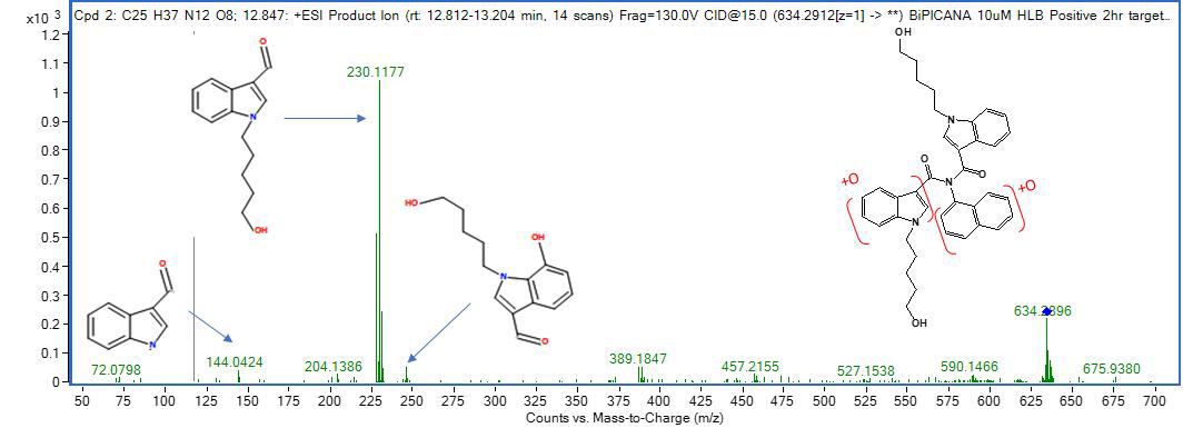 BiPICANA M6의 MS2 스펙트럼 및 구조 규명(CE: 15 eV)