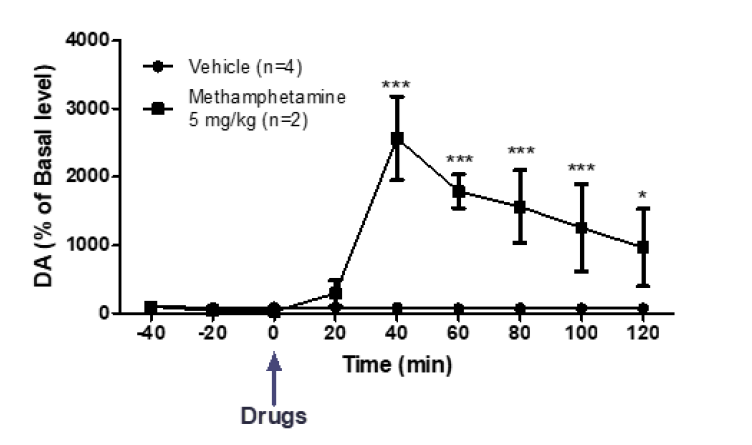 양성대조군 Methamphetamine 5 mg/kg 도파민 농도 변화 (Methamphetamine 5 mg/kg, ***P<0.001, compared with the vehicle (two-way ANOVA, followed by the Bonferroni post hoc test))