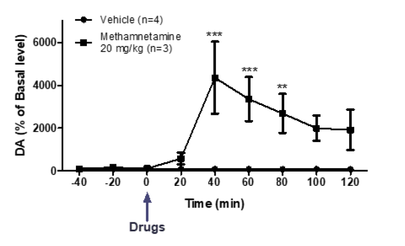Methamnetamine 20 mg/kg 도파민 농도 변화 (Methamnetamine 20 mg/kg, ***P<0.001, **P<0.01, compared with the vehicle (two-way ANOVA, followed by the Bonferroni post hoc test))