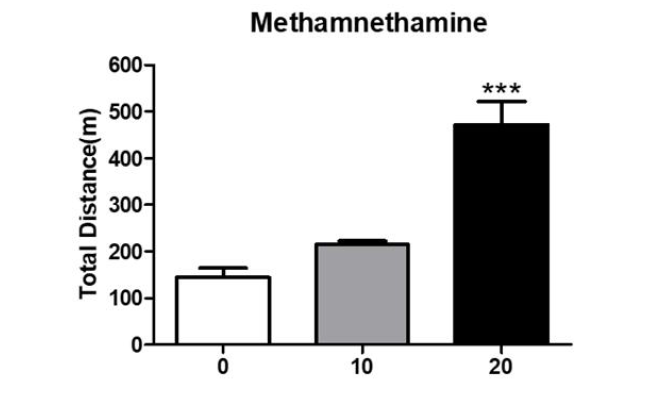 Methamnetamine 일반 운동활성 결과