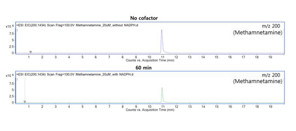 모분자 C14H17N (m/z 200.1434)에서의 조효소처리 유무에 따른 EIC 비교 결과