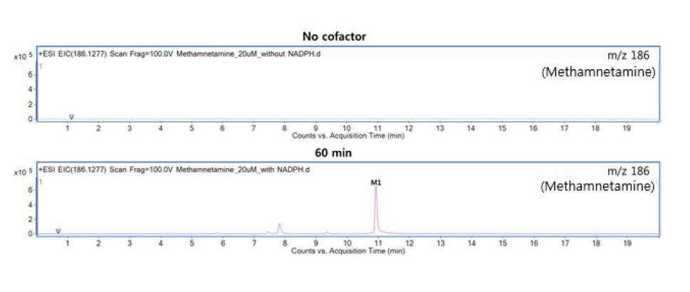 C13H15N (m/z 186.1277)에서의 조효소처리 유무에 따른 EIC 비교 결과(M1)