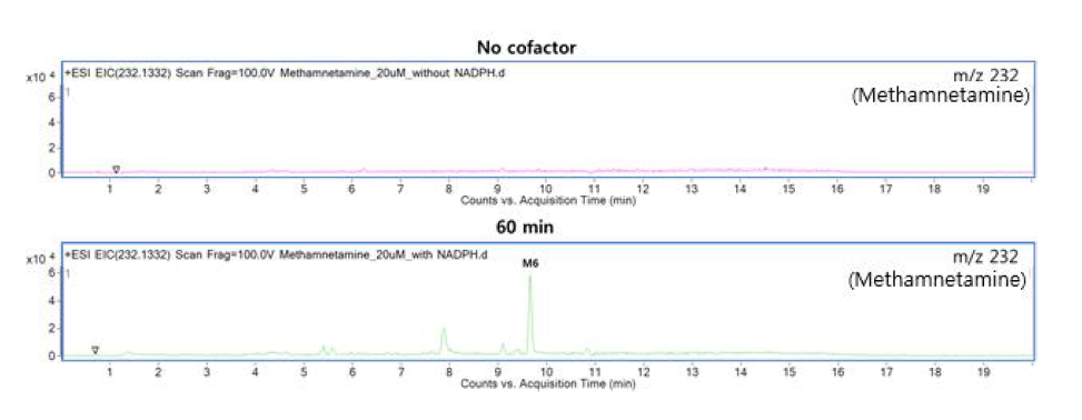 C14H17NO2 (m/z 232.1332)에서의 조효소처리 유무에 따른 EIC 비교 결과(M6)