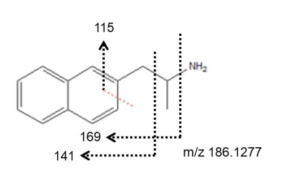 대사체 M1의 예상 구조(N-demethylation)