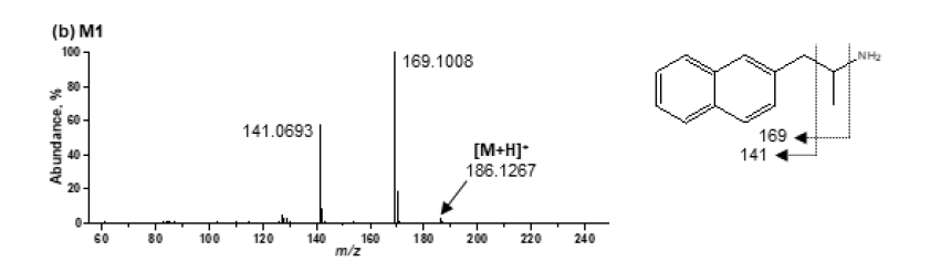 Methamnetamine M1의 MS2 스펙트럼 및 구조 규명