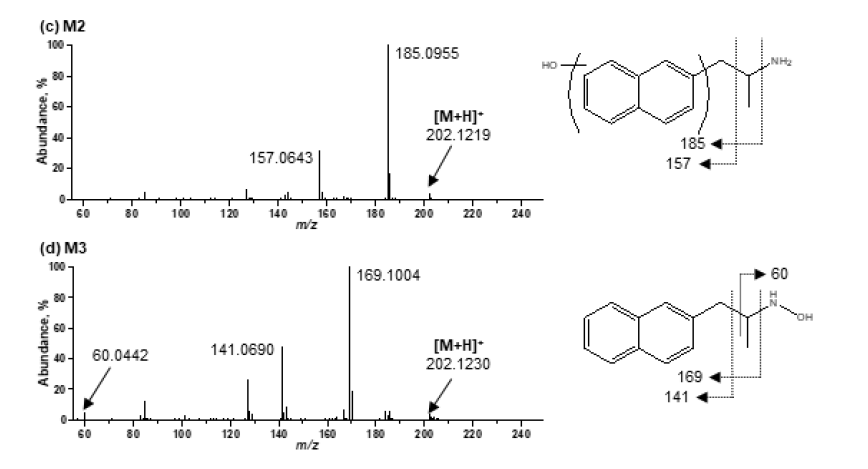 Methamnetamine M2, M3의 MS2 스펙트럼 및 구조 규명