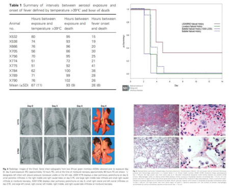 개체별 증상 발현 및 사망시간, 생존율, 폐 조직 및 영상 병리학 출처. Layton RC, Brasel T, Gigliotti A, Barr E, Storch S, Myers L, Hobbs C, Koster F. Primary pneumonic plague in the African Green monkey as a model for treatment efficacy evaluation. J Med Primatol. 2011 Feb;40(1):6-17. doi: 10.1111/j.1600-0684.2010.00443.x. Epub 2010 Aug 16. PMID: 20722770; PMCID:PMC2991483