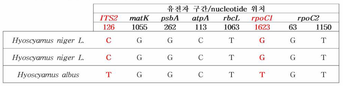 사리풀속에서 사리풀 특이 특이 SNP 확인