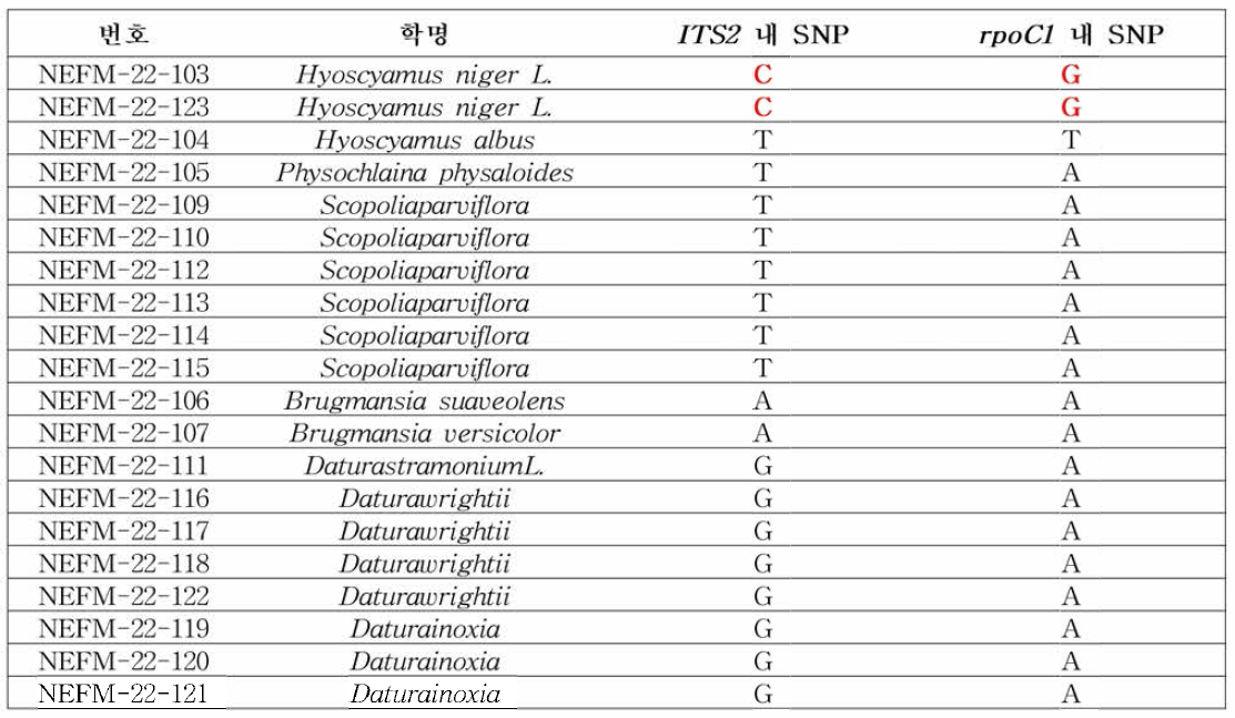 가지속 식물 내에서 사리풀 특이 SNP 확인