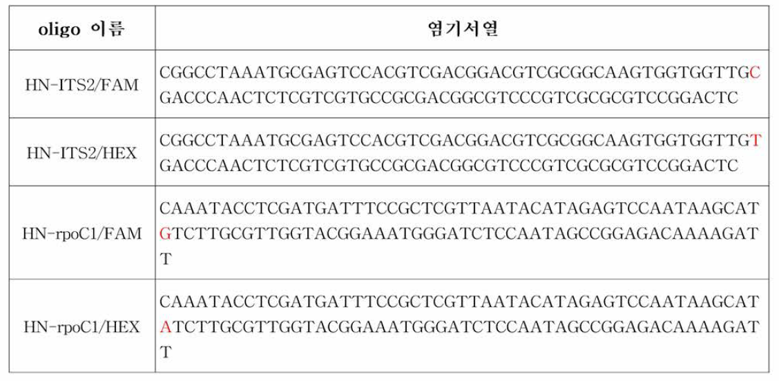 lOlbp FAM/HEX positive oligo 정보