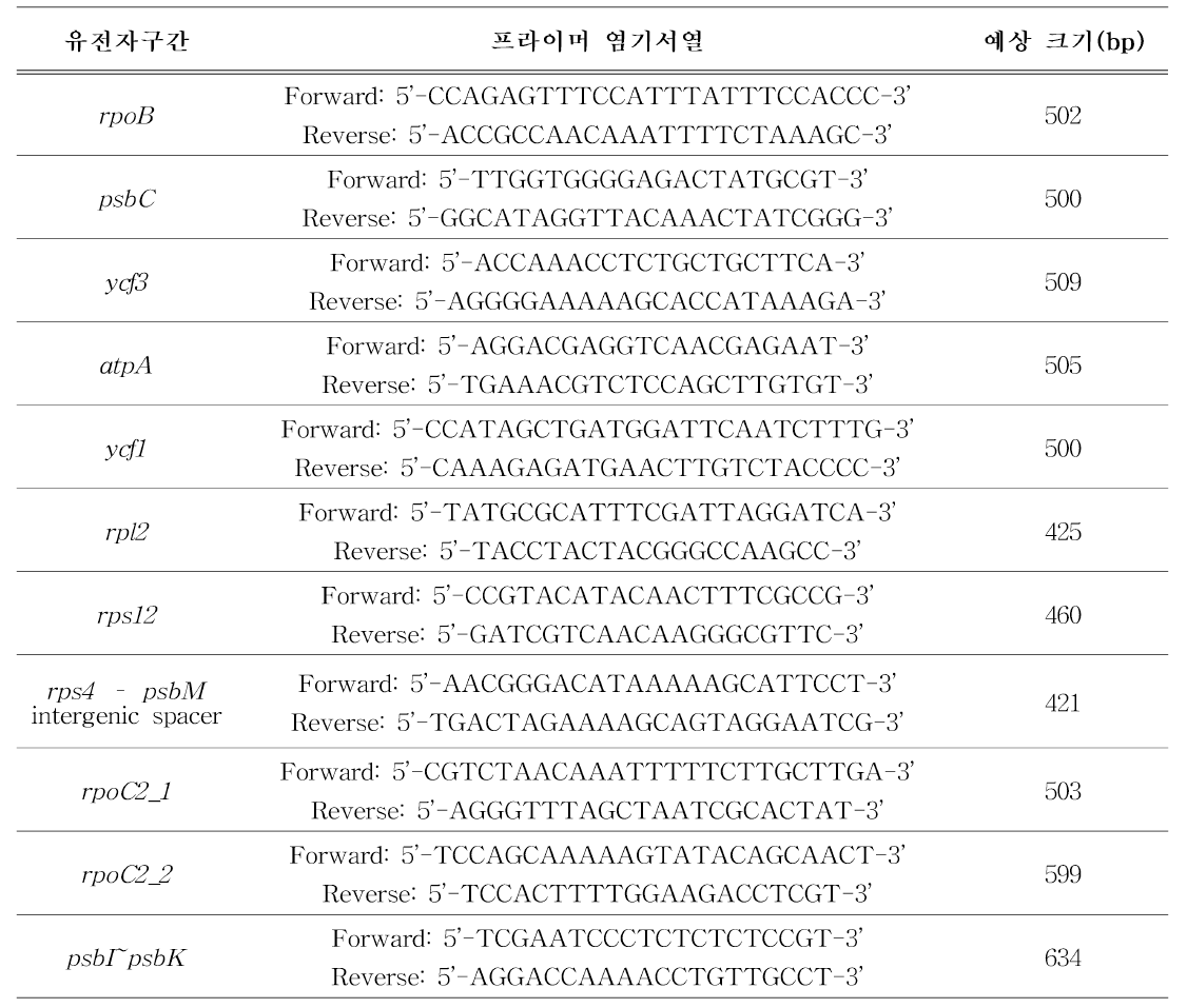 염기서열분석용 프라이머 11쌍 정보