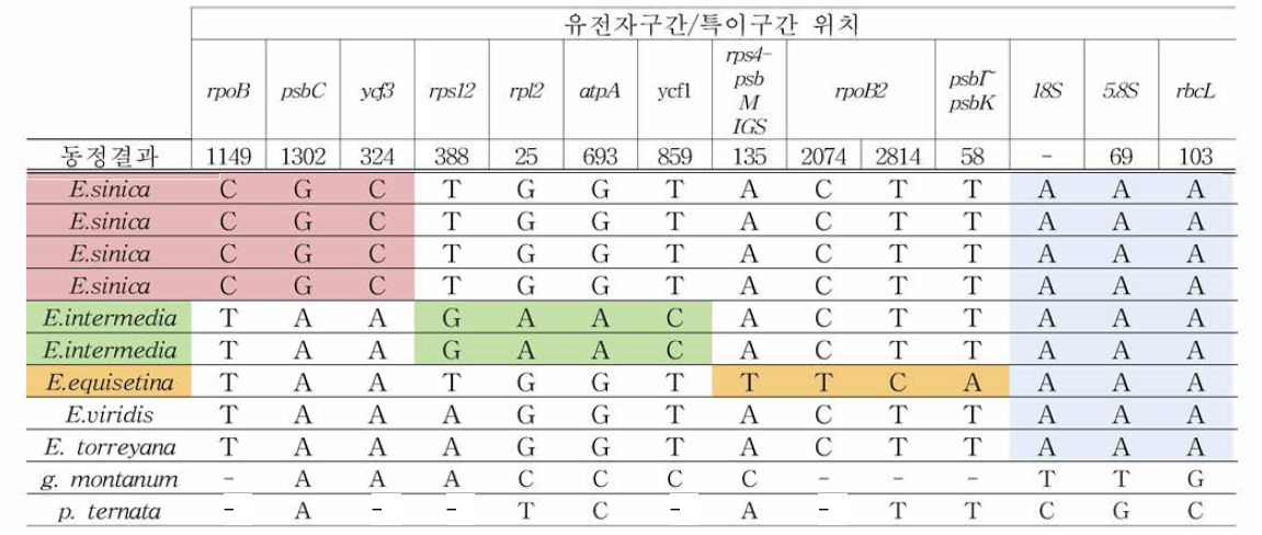 마황 3종 특이 단일염기 다형성