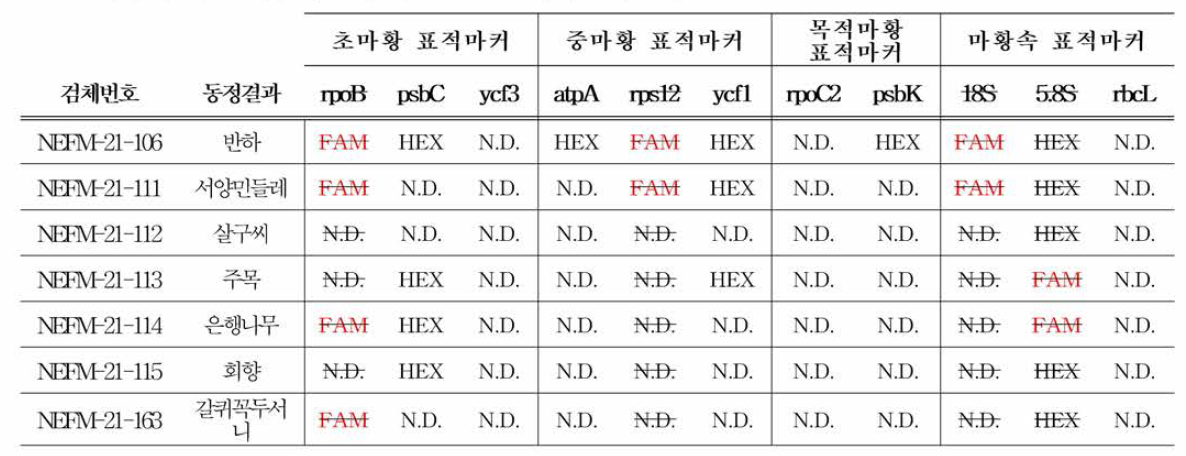 마황속 식물 이외 식물에 대한 KASP 마커 실험결과