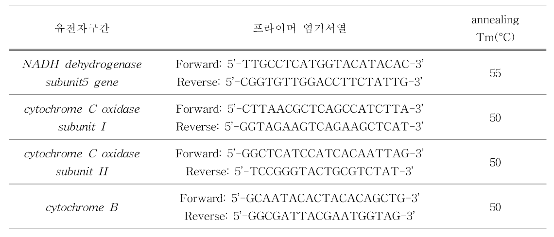 염기서열분석용 프라이머 11쌍 정보