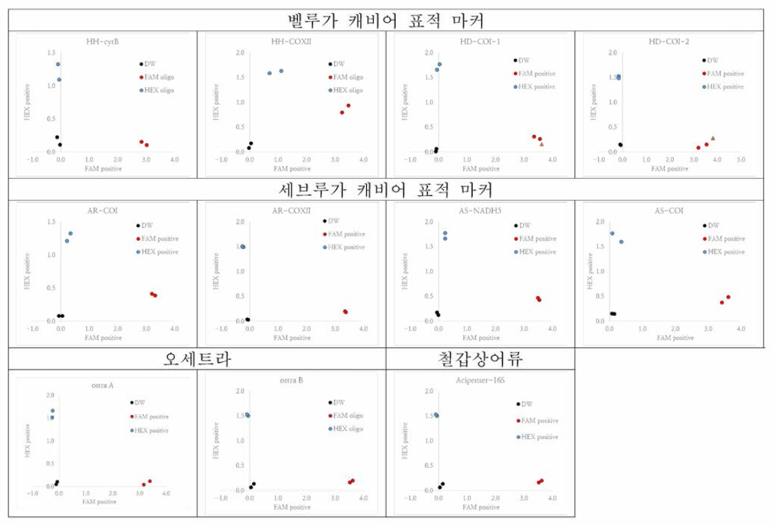 KASP 마커의 SNP 분별력 확인