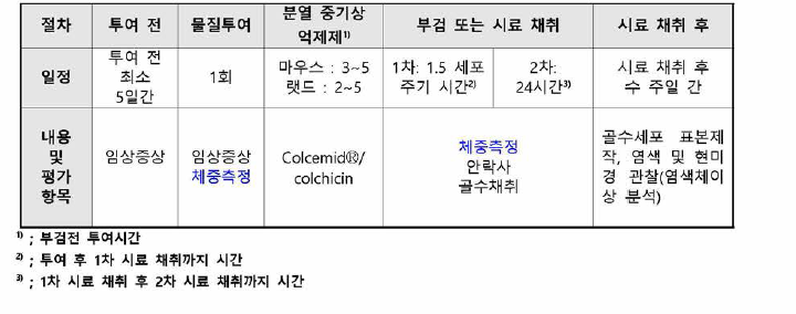 포유류 골수 세포를 이용한 생체 내 염색체 이상 시험의 절차 및 주요 평가 항목